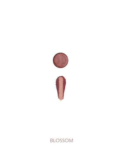 Nude Champagne Palette image 4
